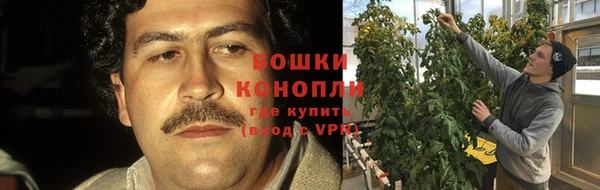 стафф Горняк