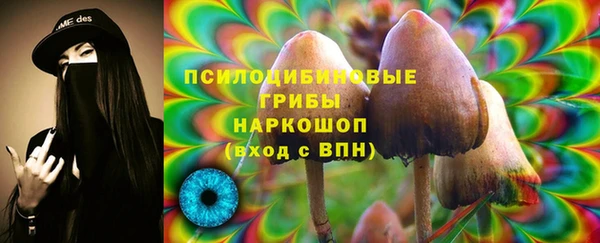 стафф Горнозаводск