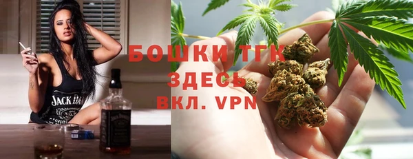 альфа пвп Горно-Алтайск
